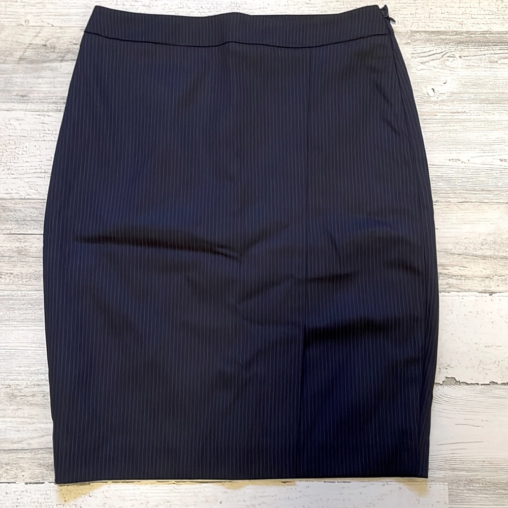 NWT Ann Taylor Pencil Skirt